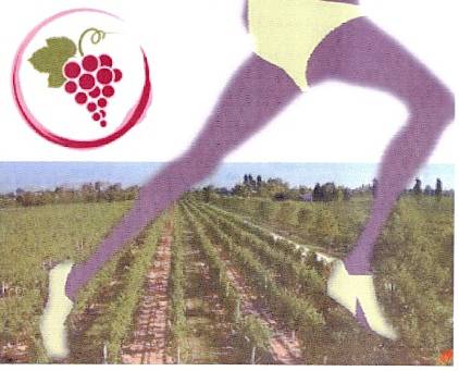 Castagnole Lanze, si avvicina la 1a edizione della Gran Fondo del Barbera 