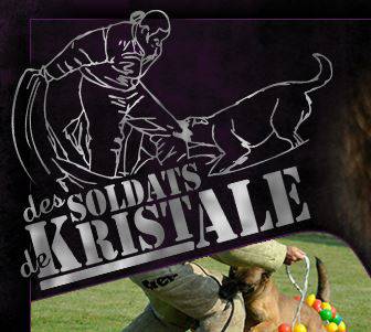 Speciale Aics Asti: alla scoperta del KristAle Club