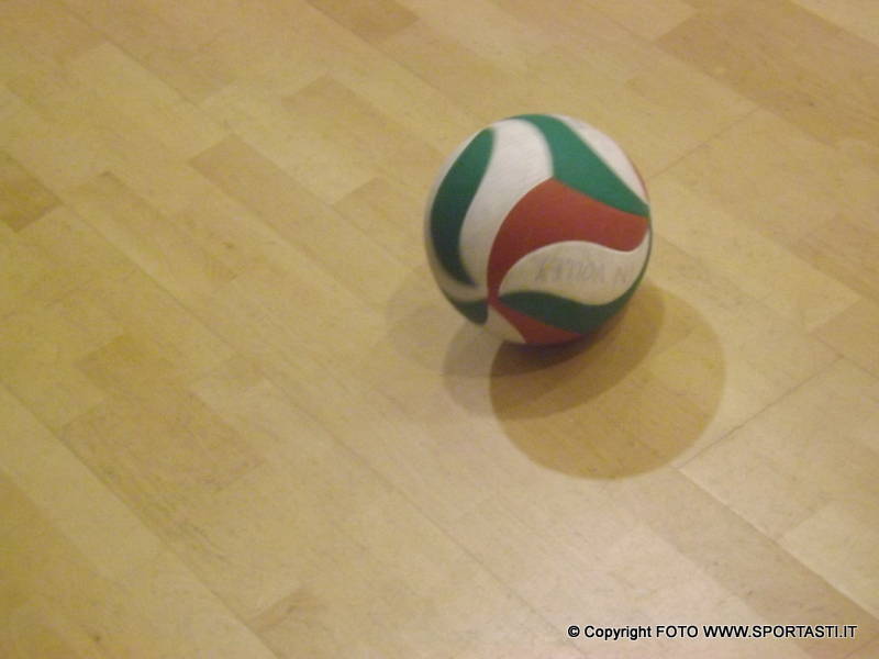 Tra novità e conferme si è presentata l’Hasta Volley 2014/15