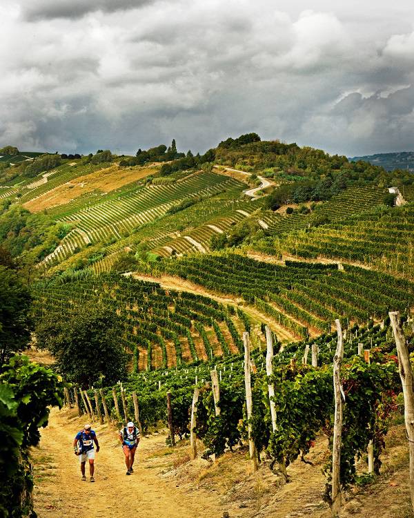 A Santo Stefano Belbo si corre la quarta edizione del Trail del Moscato