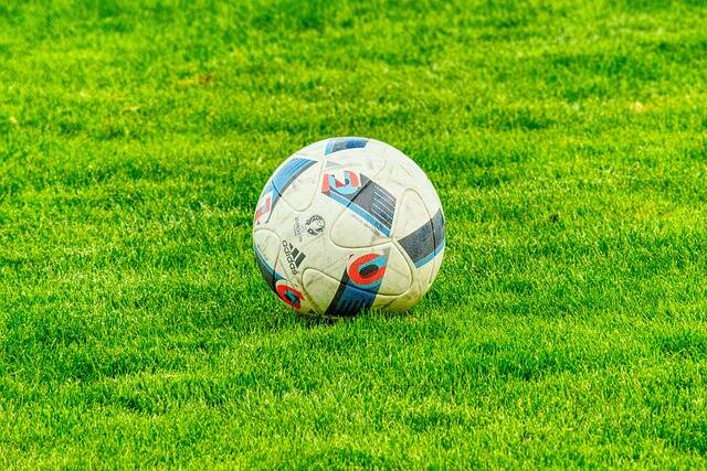 calcio repertorio foto free pixabay